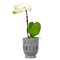 Trendspot Trendspot Orchid 6.1 in. H X 5.5 in. W X 5.5 in. D X 6 in. D Ceramic Planter Gray CR01291N-06H - alternate 2